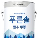 푸른솔 이미지