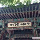 숲 펜션&캠핌장 이미지