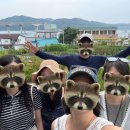 도우펜션 이미지