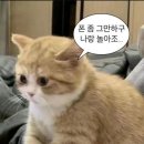 전대국밥 이미지