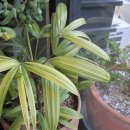 클라라헤어샵 이미지