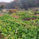 초입농장 이미지