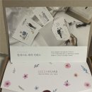 나만의 일러스트 | #6 청첩장편, 나만의 일러스트 청첩장 샘플 후기 및 최종선정 [시소카드]
