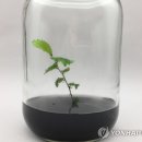 1-11호어린이공원 이미지