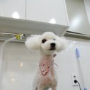 별난동물병원 이미지