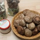 고노골농장2 이미지