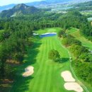 아네시스 이미지