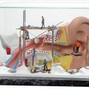 히어링메딕스 이미지