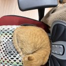 원천중학교 이미지