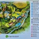 충주 깊은 산속 옹달샘 체험 후기: 명상과 마음 돌봄