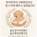이별공간 | 울산강아지장례식/울산애견장례식장/울산북구애견장례/울산강아지장례 아름다운 이별