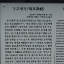 명고영정 Daum카페