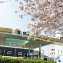 삼광주유소 이미지