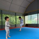 (주)한국네스트 | 경기도 가평 그늘맛집 계곡 캠핑장 [네스트캠핑장]