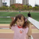 동탄센트럴파크 배드민턴장 이미지