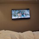 컴포트 인 여의도 이미지