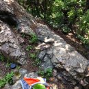 쉬어가는곳 이미지