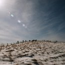 박쏘가리 이미지