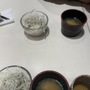서울초밥 - 중구 | 서울 광화문 맛집 스시 전문 코끼리초밥 후기