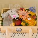 만월청과 이미지