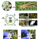 엔케이팜 이미지