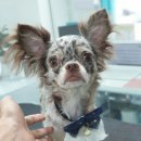 그 남자의 grooming # 공간 이미지