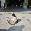 수원-1009 이미지