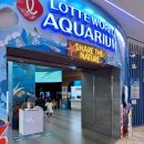 비즈아쿠아수족관 | 롯데월드 아쿠아리움(잠실) 할인, 주차, 방문 팁 - 초등 아이와 관람 및 체험 후기.