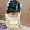 ❣️힘찬반❣️파티숑ㅡ조개🎀 이미지