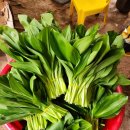 종근농장 이미지