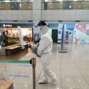 평창방역소독