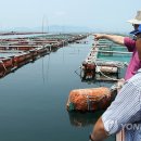 거제-거제-거제-비상-30 이미지