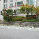 음봉면 음봉로 이미지