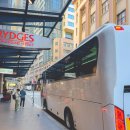 세계로데일레웨이 | 호주 시드니 여행 블루마운틴 투어 시닉월드 링컨스락 페더데일동물원 후기