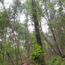 산양농장 이미지