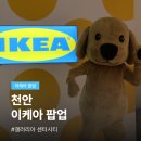 갤러리아 센터시티 | 천안에도 이케아가?! 갤러리아 센터시티 IKEA 팝업 방문 후기