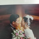 하다 | 제주웨딩스냅 업체비교 및 단편하다 계약후기, 가격비교
