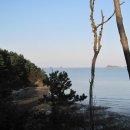 영흥도 갤러리 이미지