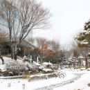 중앙대학교 행정대학원 이미지