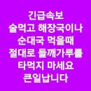 11월29일 화요일 - 긴급속보 이미지