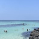 코난비치 이미지