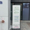 초코퍼피 애견미용실 | 옥정애견미용 헬로퍼피 전체 미용, 애견 놀이터에서 재밌게 놀다온 후기