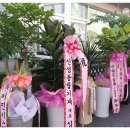 가나안 테크 이미지