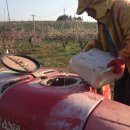 조양농원 이미지