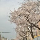 여수온천 | 여수숙소| 수영장 있는 여수 글램핑 무한리필 바베큐까지 최고 가성비숙소 “루미너스글램핑”