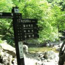 유림-1055 이미지