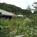 나무대문집 이미지