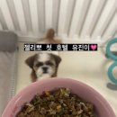 젤리뽀개린이집 이미지