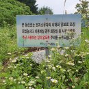 모산봉등산로 이미지