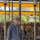 옥천축산 이미지